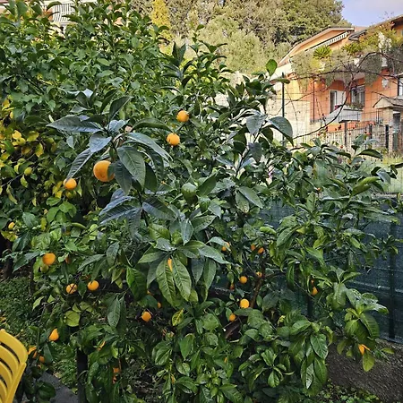 Marty&olly Luxury Garden Appartamento