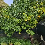 Marty&olly Luxury Garden Monterosso al Mare