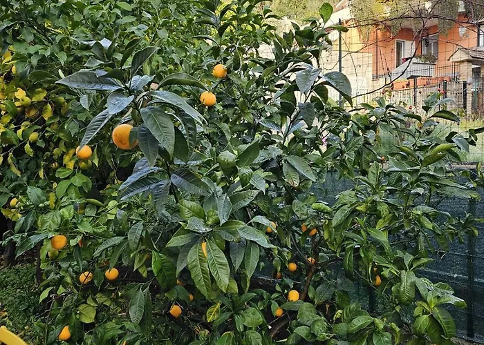 Marty&olly Luxury Garden Apartament